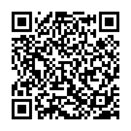 QR code for CZO011