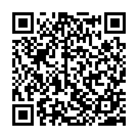 QR code for CZO307