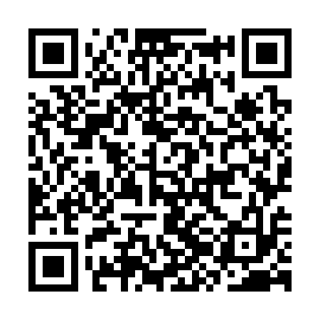 QR code for CZO313
