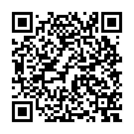 QR code for CZP314