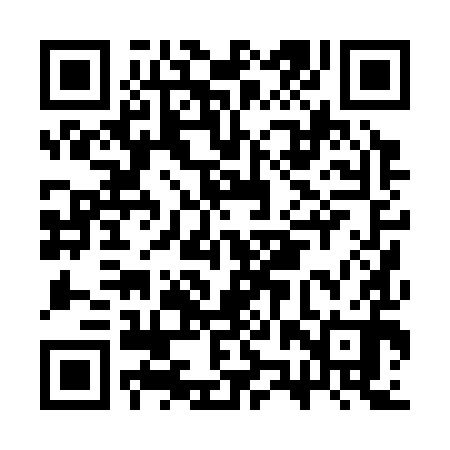 QR code for CZP390