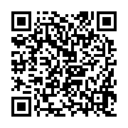 QR code for CZP396