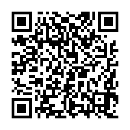 QR code for CZP493