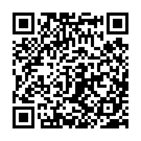 QR code for CZP685