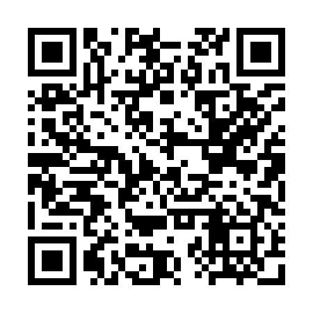 QR code for CZP989