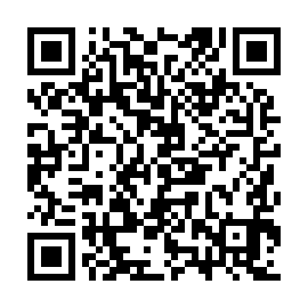 QR code for CZP991
