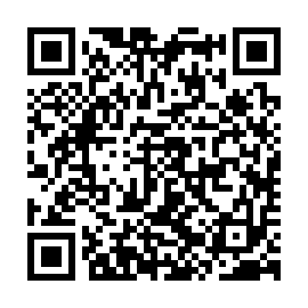 QR code for CZR313