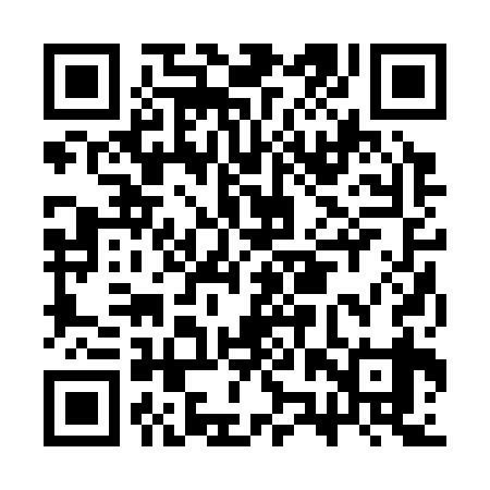 QR code for CZR339