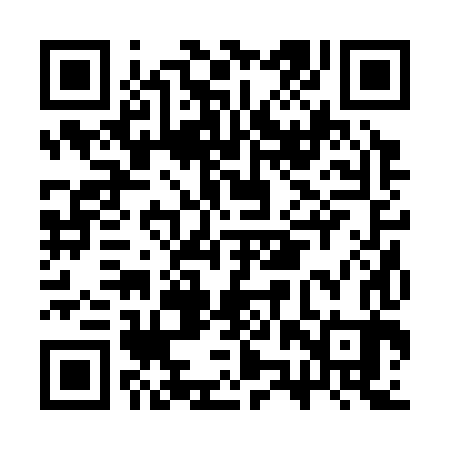 QR code for CZR383