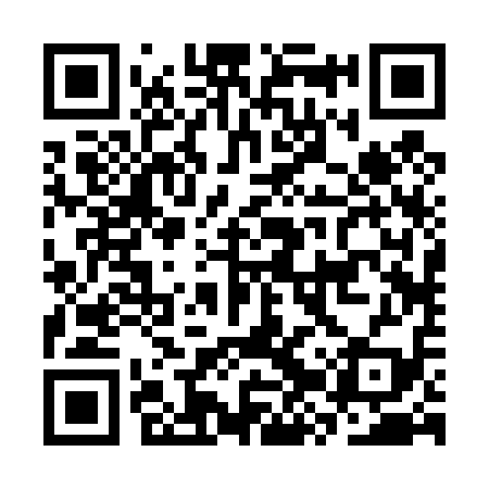 QR code for CZR419