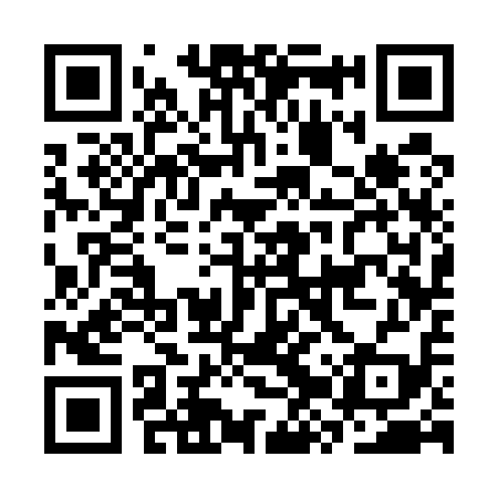 QR code for CZS519