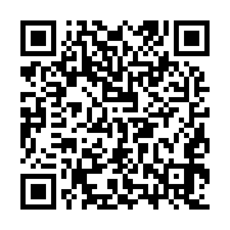 QR code for CZS953
