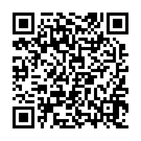 QR code for CZT216