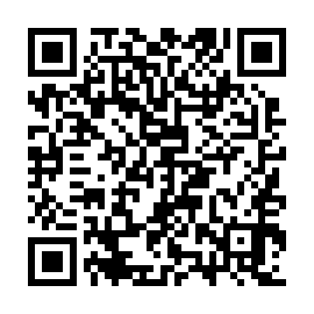 QR code for CZT250