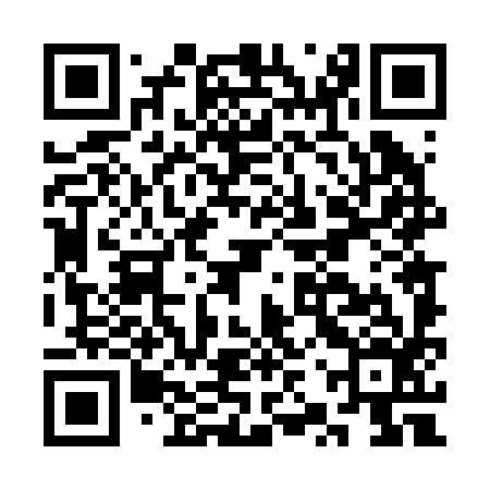 QR code for CZT296
