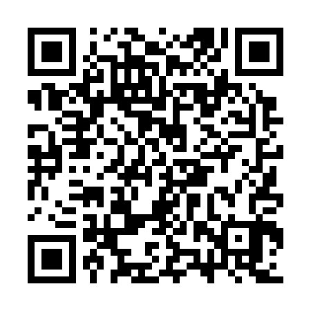 QR code for CZT303