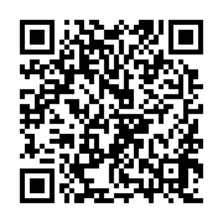 QR code for CZT398