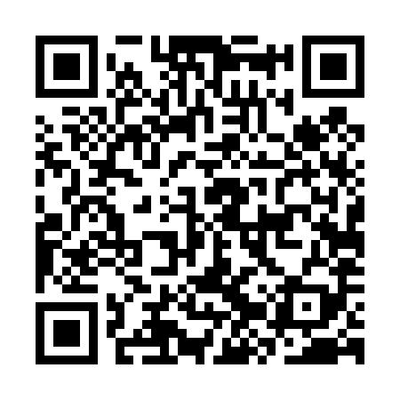 QR code for CZT489