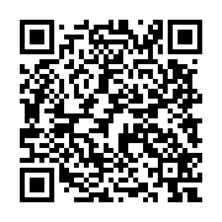 QR code for CZT529