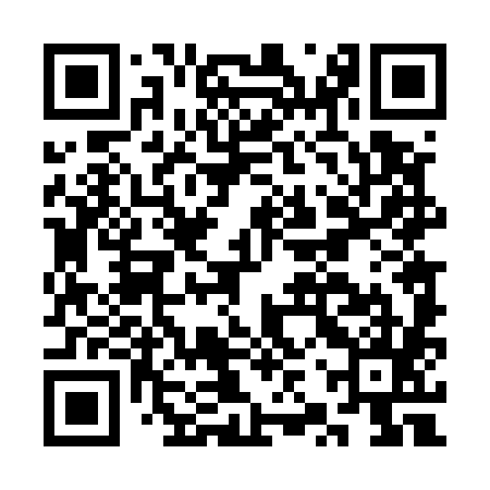 QR code for CZT585