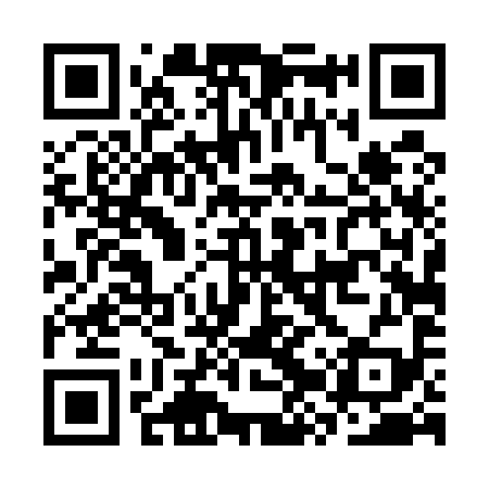 QR code for CZT599