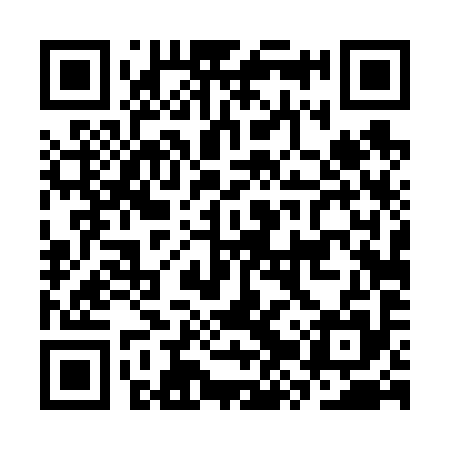 QR code for CZT695