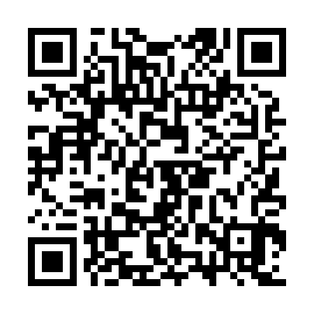 QR code for CZT803