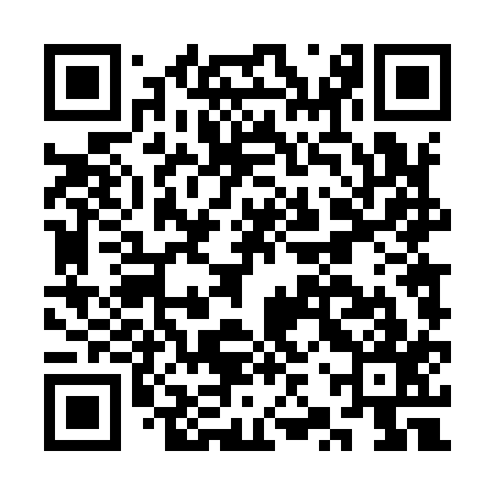 QR code for CZT917