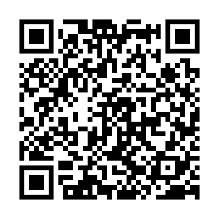 QR code for CZV328