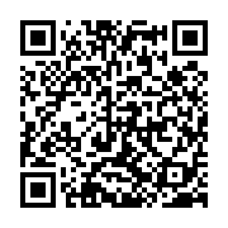 QR code for CZY519