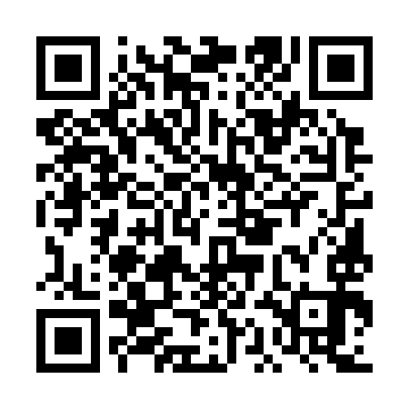 QR code for DAE393