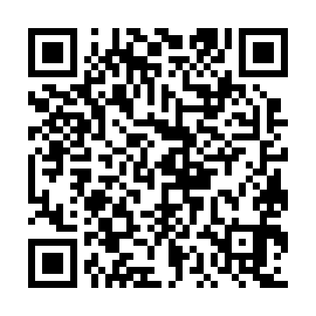 QR code for DAG291