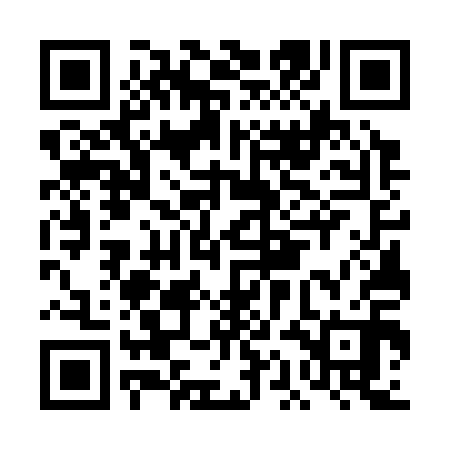 QR code for DAG310