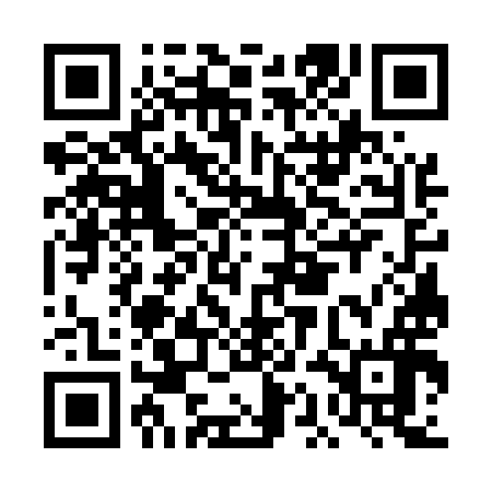 QR code for DAG596