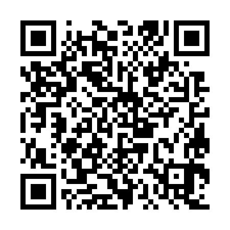 QR code for DAG783