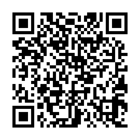 QR code for DAG919