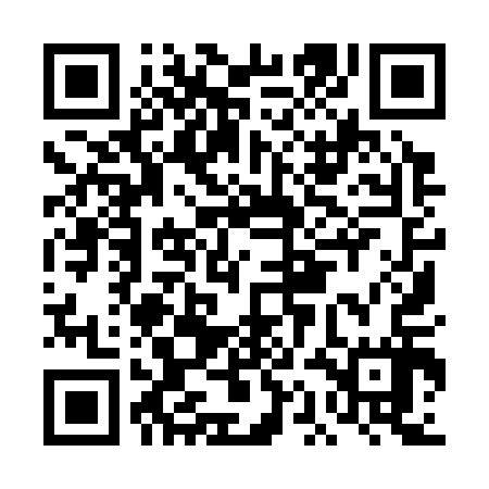 QR code for DAI317