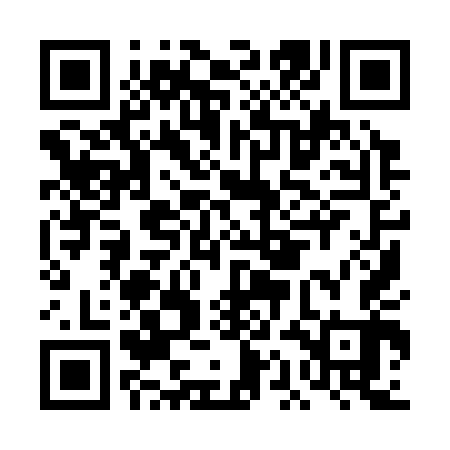 QR code for DAI343