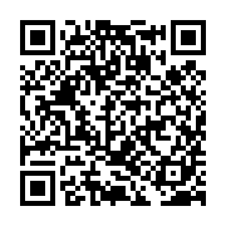 QR code for DAI481