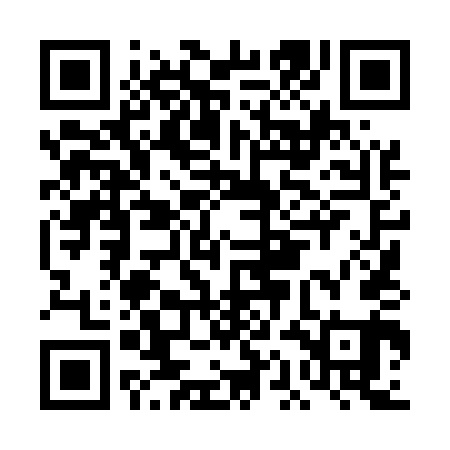 QR code for DAL541