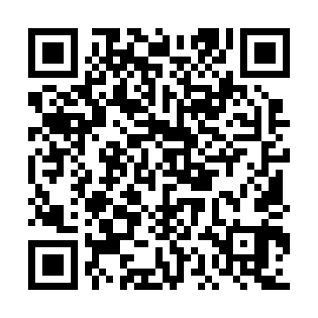 QR code for DAM241