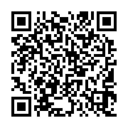 QR code for DAM313