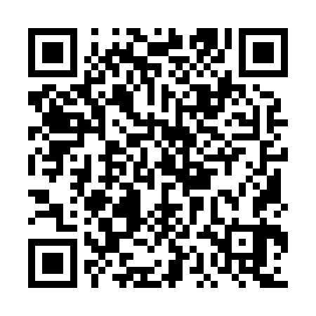 QR code for DAM863