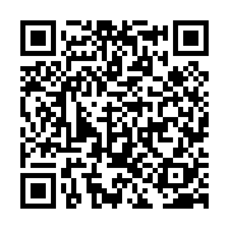 QR code for DAN028