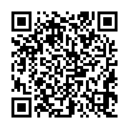 QR code for DAO173
