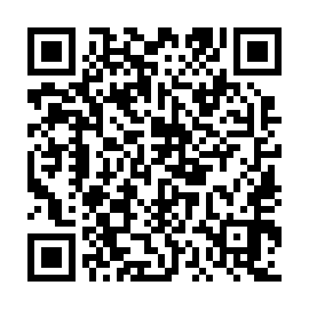 QR code for DAO250