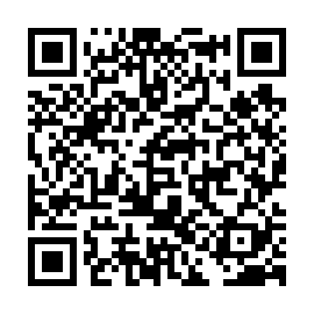 QR code for DAO629