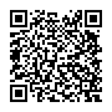 QR code for DAP441
