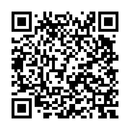 QR code for DAP450
