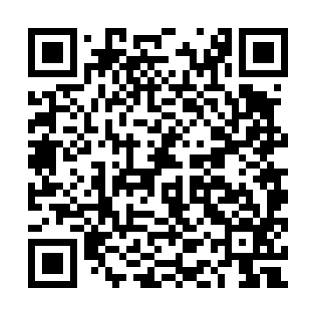QR code for DAV496